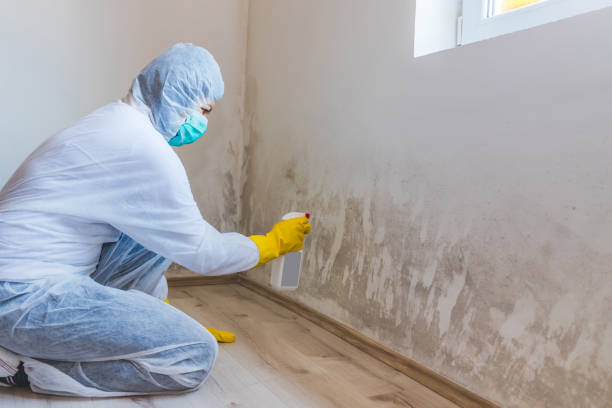 Mold Remediation specialist working in Henderson